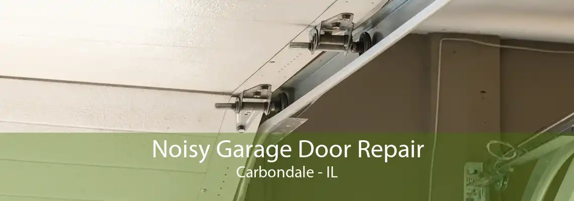 Noisy Garage Door Repair Carbondale - IL