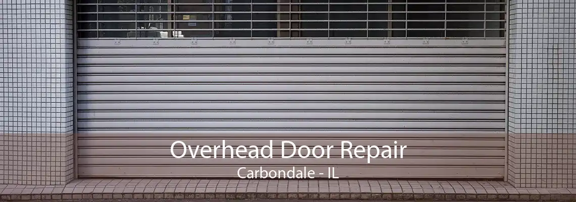 Overhead Door Repair Carbondale - IL