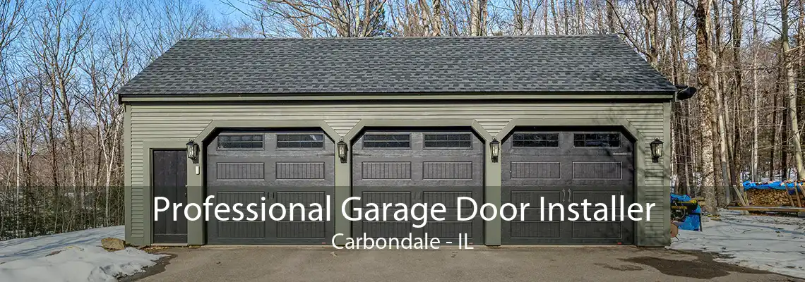 Professional Garage Door Installer Carbondale - IL