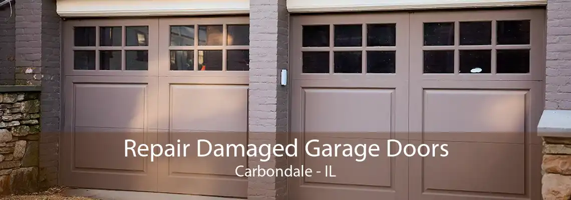 Repair Damaged Garage Doors Carbondale - IL