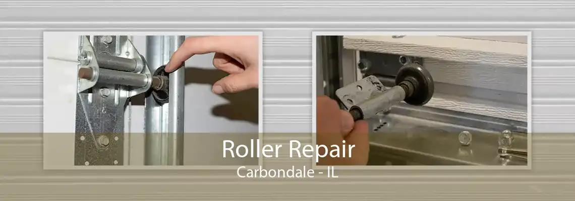 Roller Repair Carbondale - IL