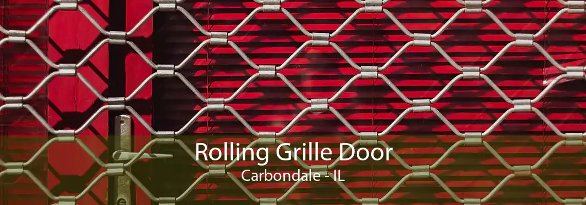 Rolling Grille Door Carbondale - IL