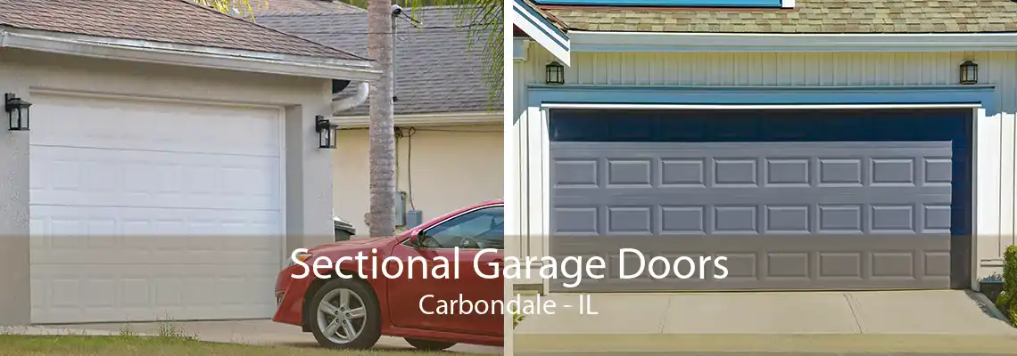 Sectional Garage Doors Carbondale - IL